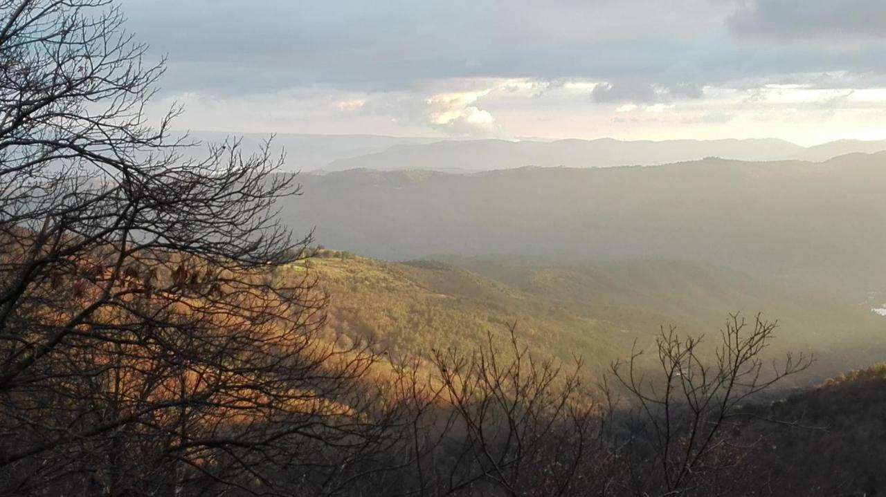 Gite Le Cerisier Via Rhona Dolce Via La Voulte-sur-Rhone Exteriör bild